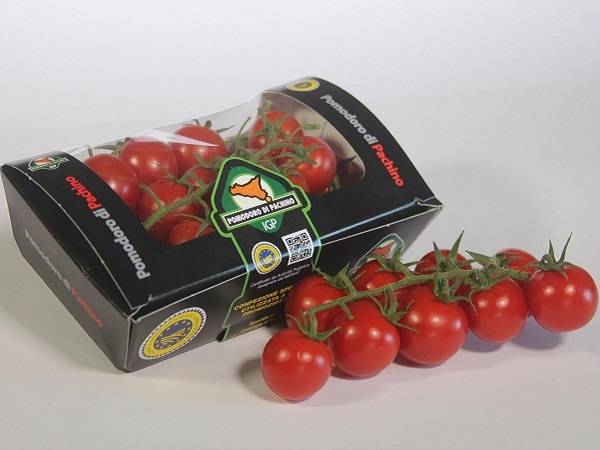 Technoretail - A Macfrut Digital, il Consorzio di tutela del pomodoro di Pachino IGP presenta la tecnologia Blockchain 