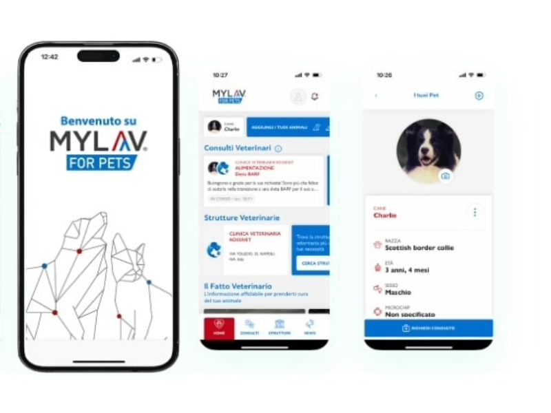 Technoretail - MyLav for Pets è la nuova app dedicata ai pet parent di tutta Italia 