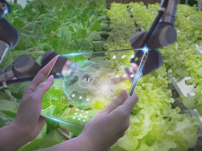 Technoretail - PwC: nel 2028 il mercato dell’AI nel food varrà 43,4 mld di dollari 