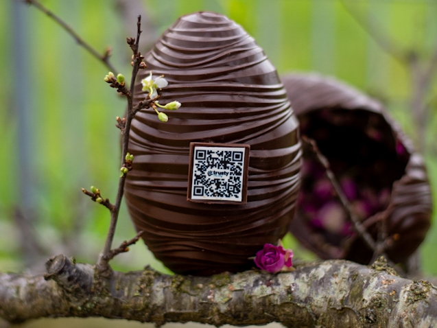 Technoretail - Due startup innovative italiane supportano la filiera del cacao 