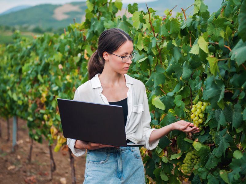 Technoretail - La business intelligence di Hiop a servizio delle aziende vitivinicole 