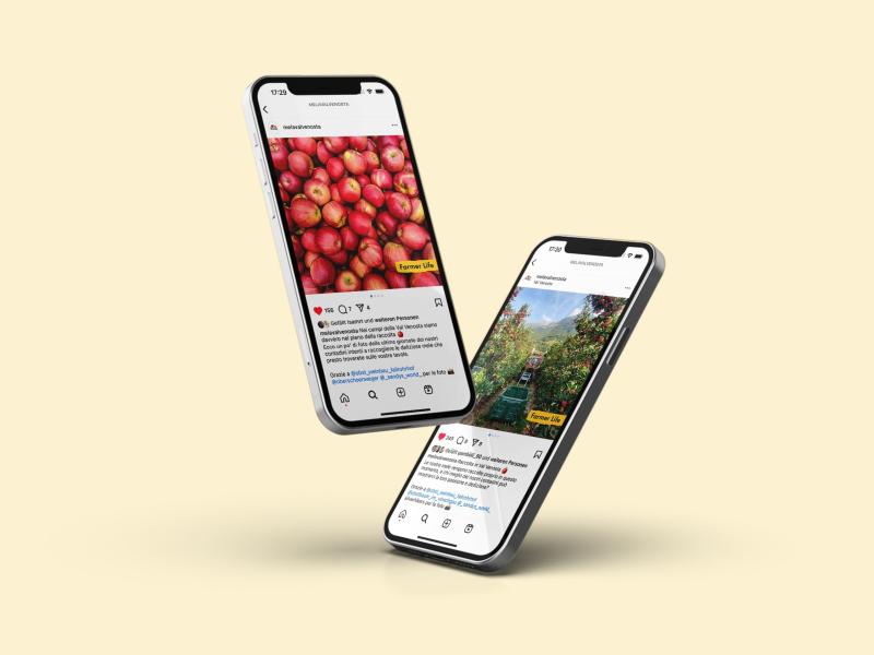 Technoretail - LOYALTY 