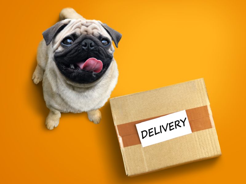 Technoretail - Glovo e Arcaplanet siglano una partnership per l’home delivery del pet 