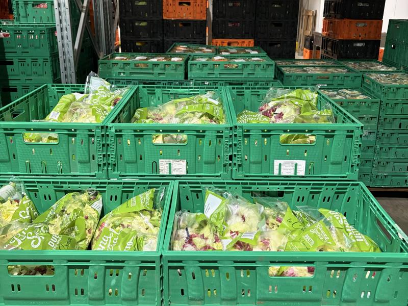 Technoretail - CASE HISTORY 