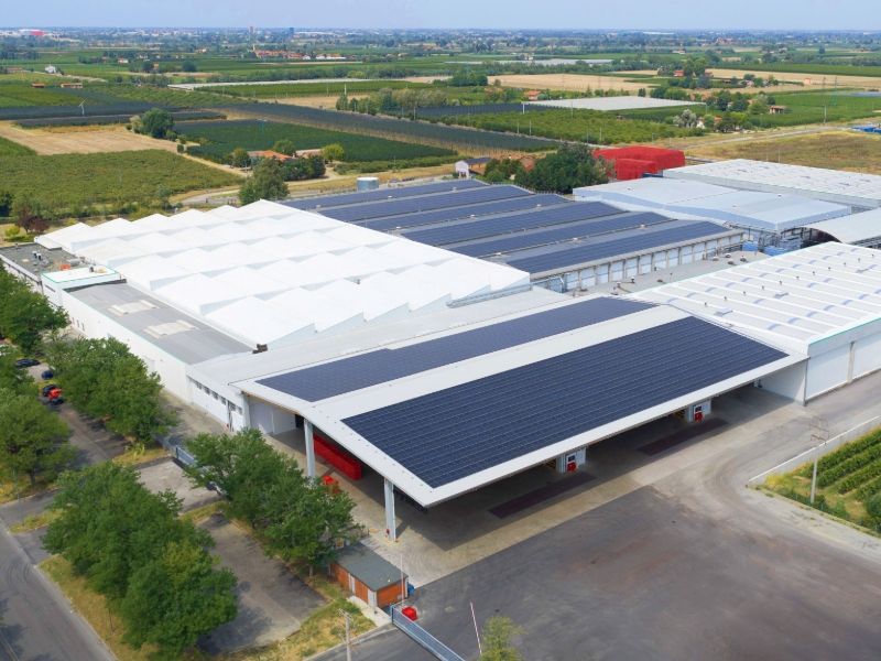 Agrintesa: automazione e digitale per il nuovo hub europeo del kiwi di Castel Bolognese