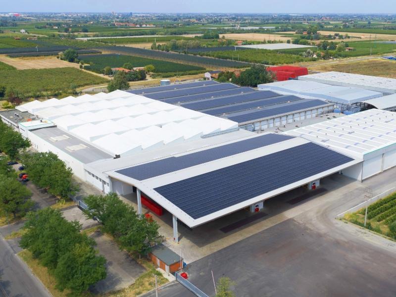 Agrintesa: automazione e digitale per il nuovo hub europeo del kiwi di Castel Bolognese