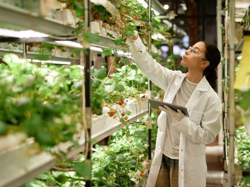 Itaih lancia la seconda edizione di "Foodtech Incubator" per supportare le imprese del futuro