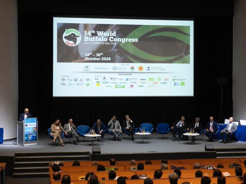 World Buffalo Congress: nella filiera bufalina permane il divario tecnologico tra Nord e Sud