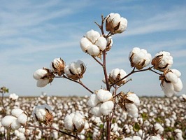 Technoretail - Il primo quotidiano sulla technologia nel retail 