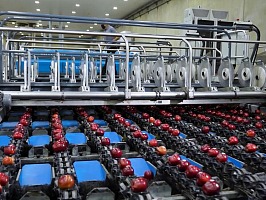 Technoretail - sicurezza finanziaria 