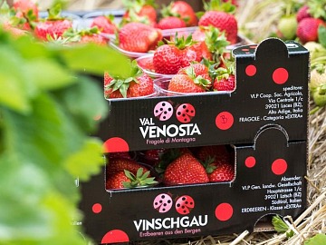 Technoretail - Visa: i pagamenti digitali accompagnano i viaggi degli italiani 