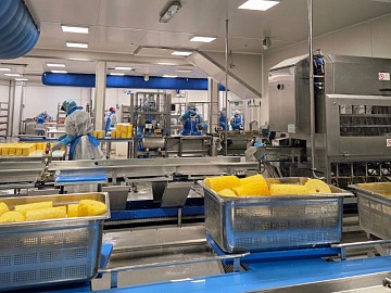 Technoretail - Leroy Merlin inaugura ad Arese un nuovo store dal format innovativo 