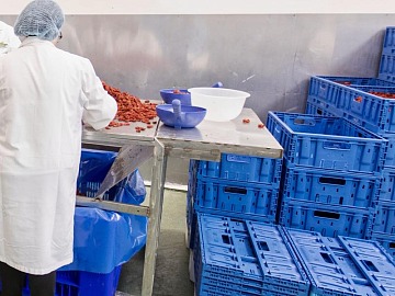 Technoretail - LOYALTY 