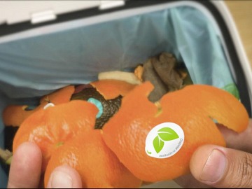 Sinclair aiuta i consumatori a capire come smaltire le etichette compostabili per la frutta