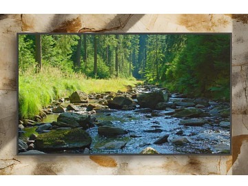 Technoretail - IMPRESE 